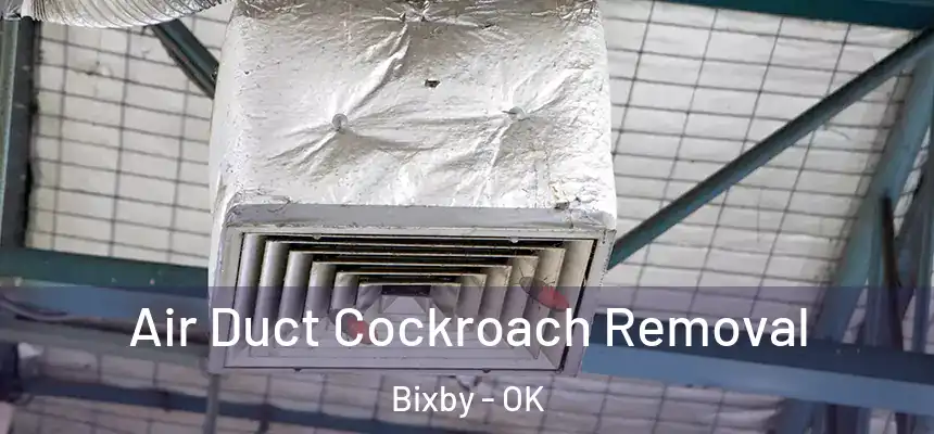  Air Duct Cockroach Removal Bixby - OK