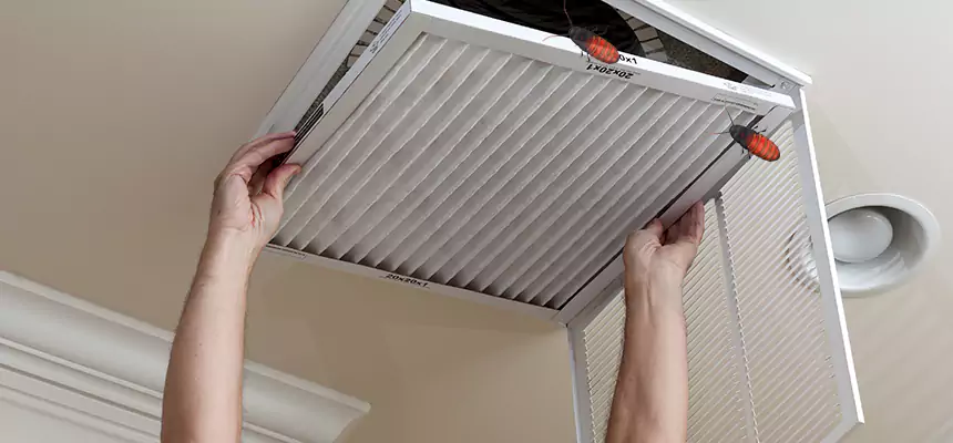 Preventive Cockroach-Proofing for Ducts in Bixby