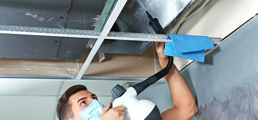 Our Air Duct Rodent Removal Services in Bixby, OK