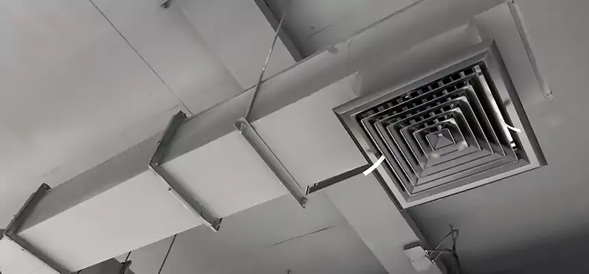 Our Rodent Droppings In Vents Services in Bixby, OK