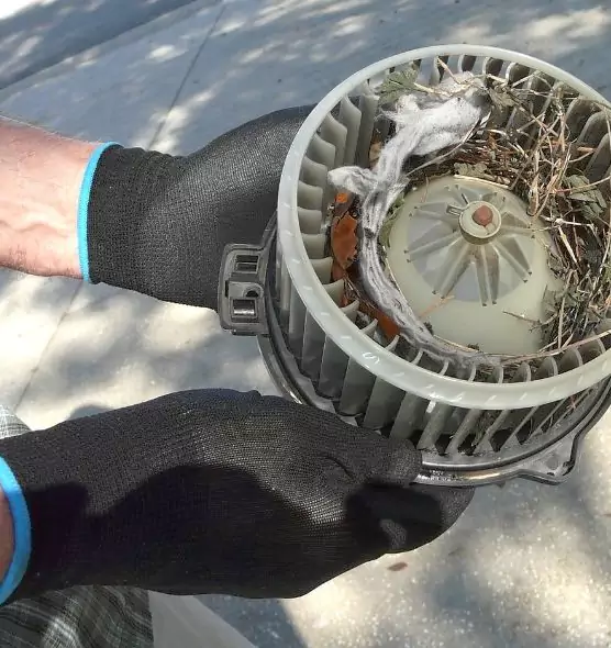 About Air Duct Rat Removal in Bixby, OK