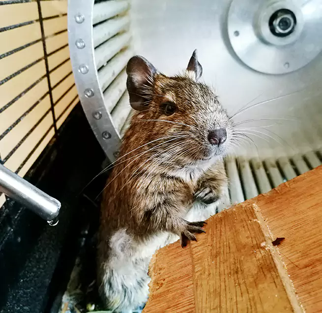 Why Homeowners & Businesses Trust Us Bixby, OK?